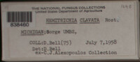 Image Associated With the Occurence